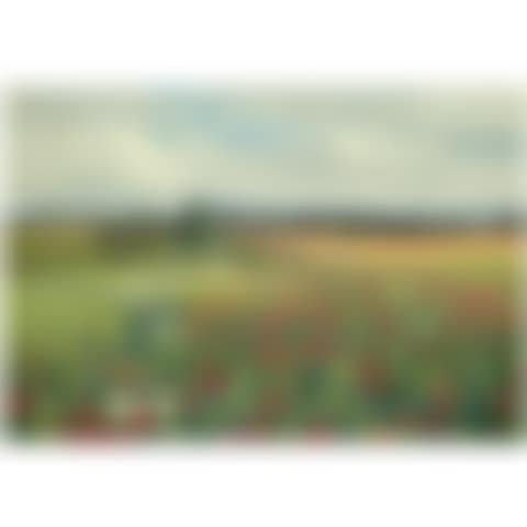 Mark Med Valmuer Og Margueritter (Field With Poppies And Daisies) (preview)