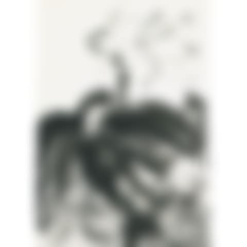 Lotus; Dozing Cat (preview)