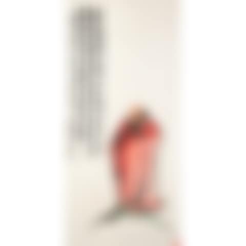 Bodhidharma (preview)