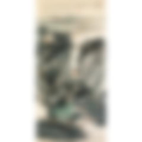 Panorama (preview)