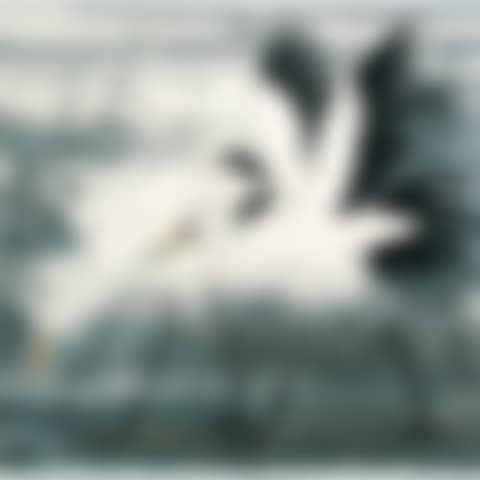 Waltzing Along The Water Edge (preview)