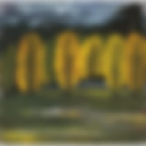 Autumn Forest (preview)