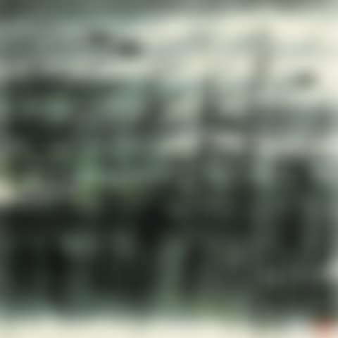 Wild Geese Over The Lake (preview)
