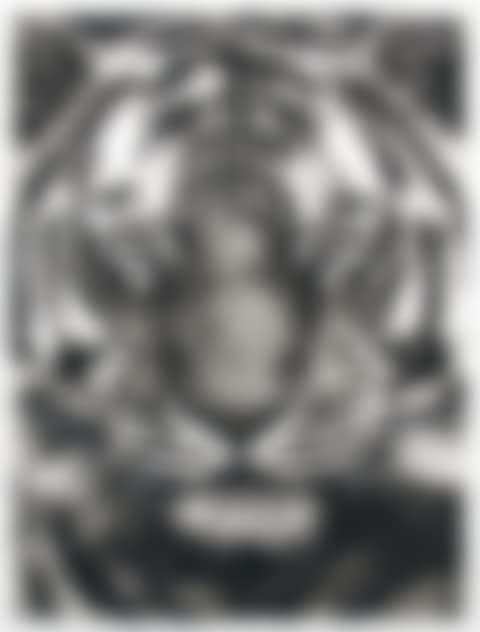 STUDY FOR LAST TIGER 4B (preview)