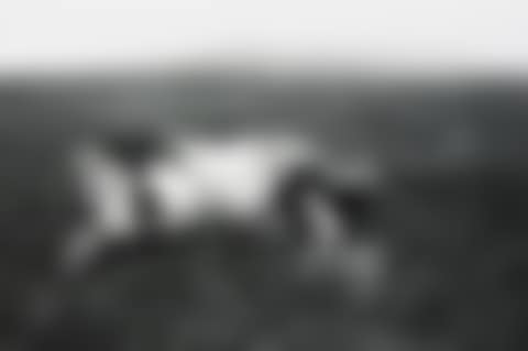 WELSH MINERS' (preview)