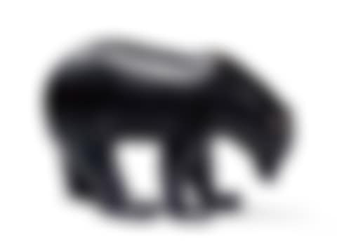 Ours brun (preview)