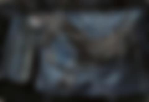 Horse (preview)