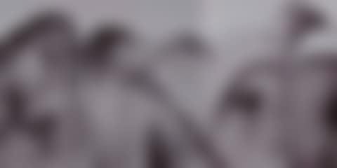 Landscape, celestial mountain (preview)