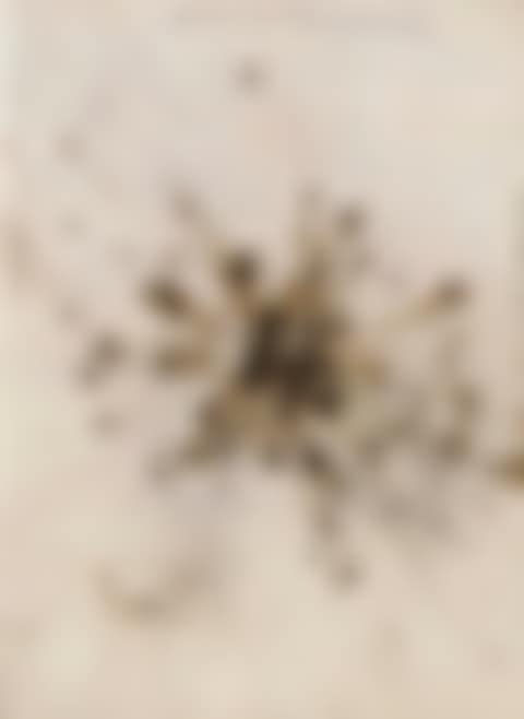 Fetus movement II: Projects for Extraterrestrials No.9 (preview)
