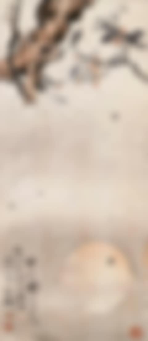 Spiders (preview)