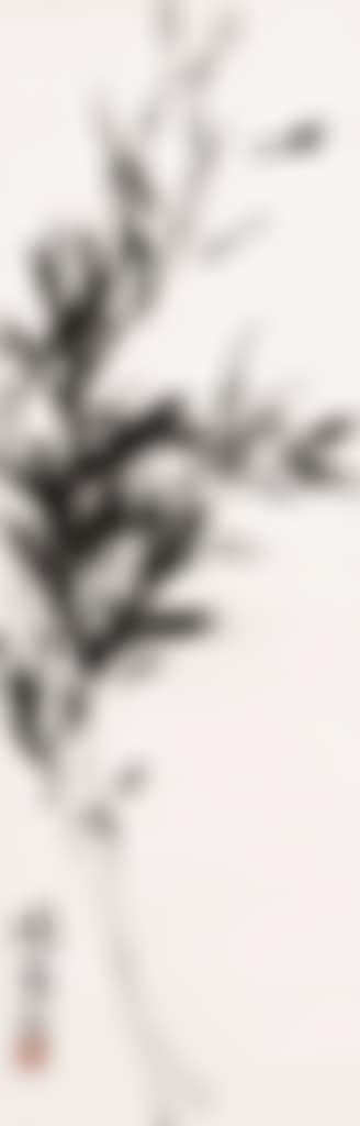 Bamboo (preview)