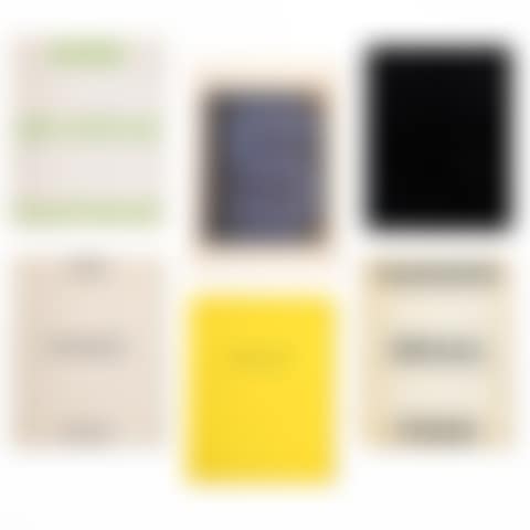 Various Small Fires; Some Los Angeles Apartments; Nine swimming pools; A Few Palm Trees; Colored People; and S Books (E. B2, B3, B8, B13 & B16) (preview)
