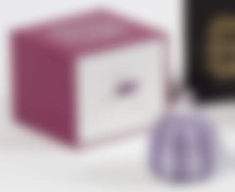 Pumpkin, Purple and White (preview)
