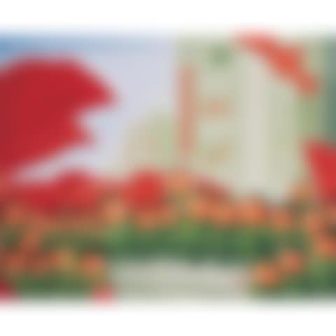 Red Fire Era, No.3 (preview)