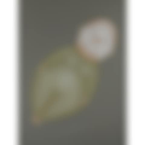 Untitled (preview)
