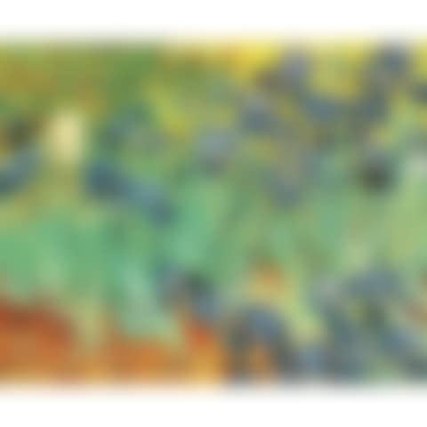 Irises: Homage To Vincent Van Gogh (preview)