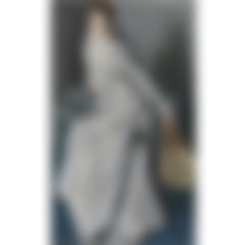 Portrait Of Eugenia Huici De Errazuriz (preview)