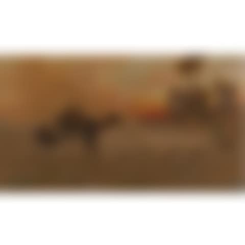 Sheepherders Returning At Sunset, Egypt (preview)