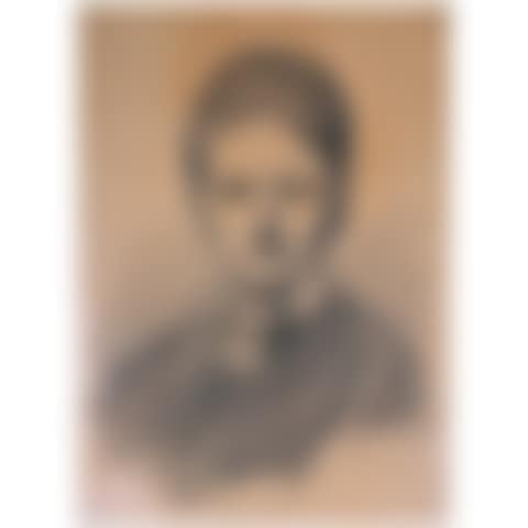 Portrait Of The Artist's Sister-in-law (preview)