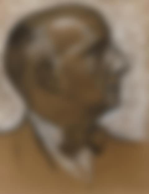 A self portrait (preview)