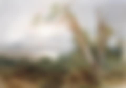 An Australian coastal landscape (preview)