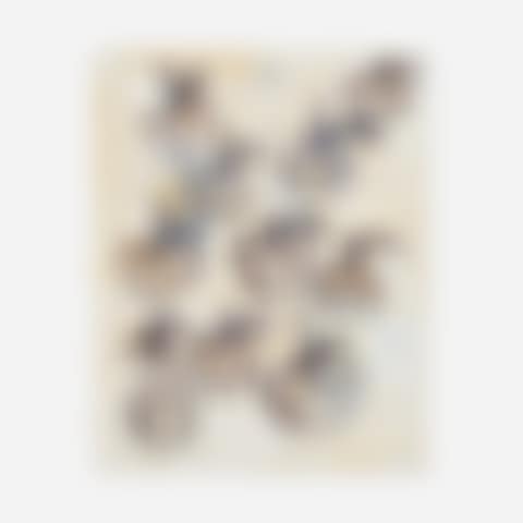 Fruit (preview)