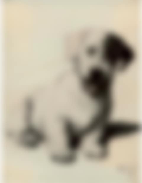 A Sealyham terrier (preview)