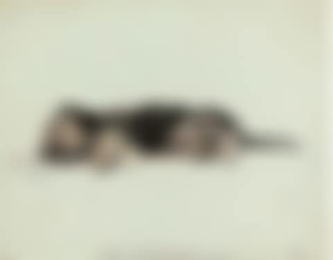 Just stretching out (preview)