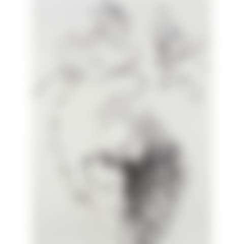 Self Portrait (preview)