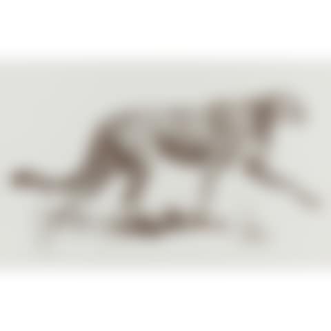 Striding Cheetah (preview)