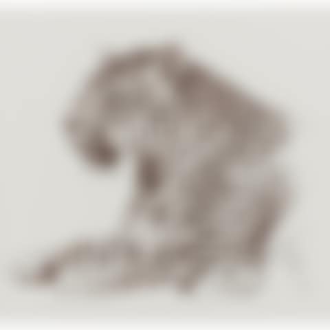 Jaguar Head (preview)