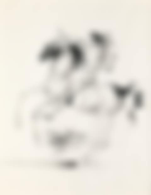 HORSE AND RIDER (preview)