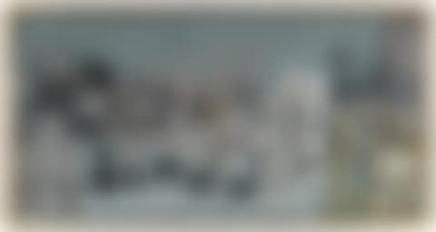 PAV�S GRIS (preview)