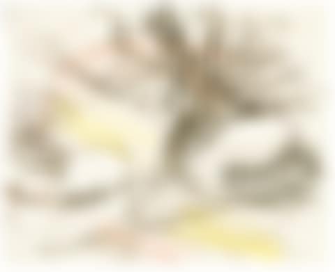 STUDY FOR TREE ON PRIMROSE HILL (III) (preview)