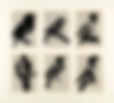 SIX BIRDS (preview)