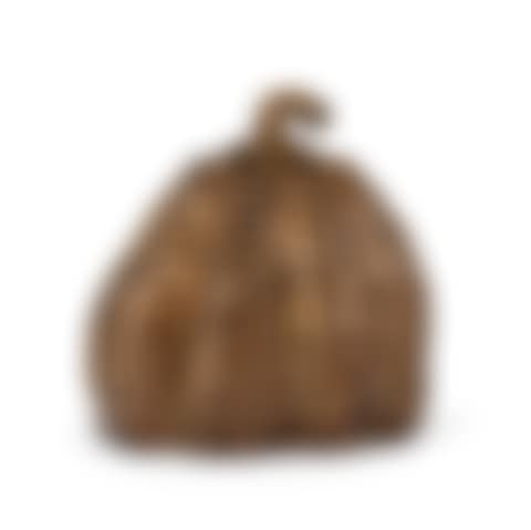 Pumpkin (preview)