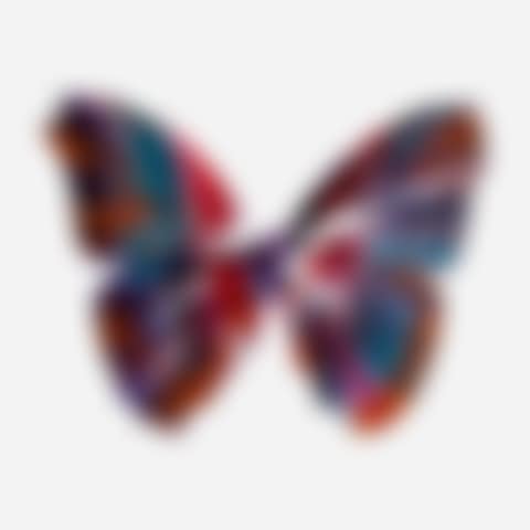 Signed Butterfly Spin Painting (preview)
