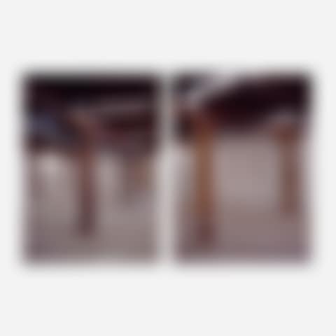 Fake Column (diptych) (preview)
