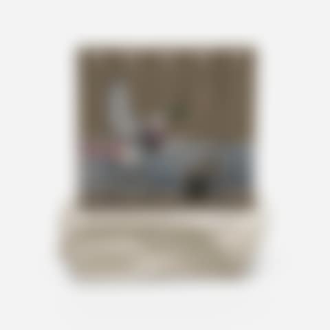 Walled Off Hotel Souvenir (Peace Dove) (preview)