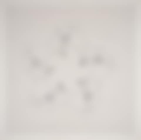 Untitled, from Fingers and Holes (preview)