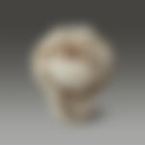 White Porcelain Jar with Iron-Decoration (preview)