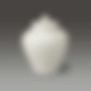 White Porcelain Jar with Cover (preview)