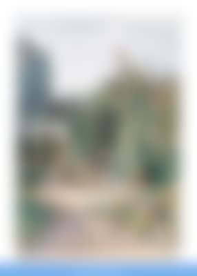 A Flower Garden in Lower Austria (preview)