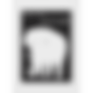 WHITE ELEPHANT (preview)