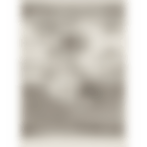 Land Scape (preview)