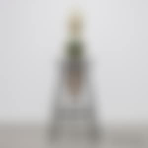 Untitled (preview)