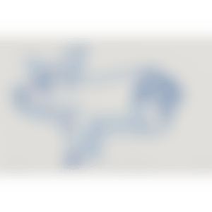 PigLiv (preview)