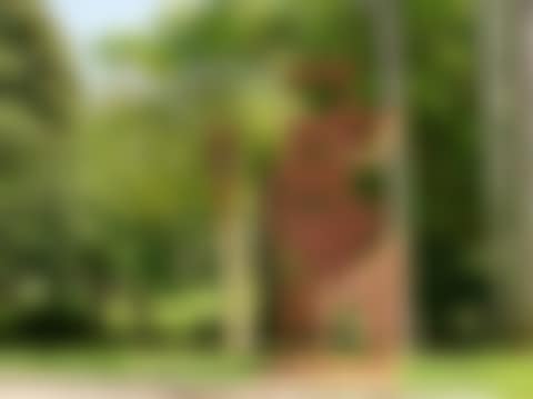 Lolita square (preview)