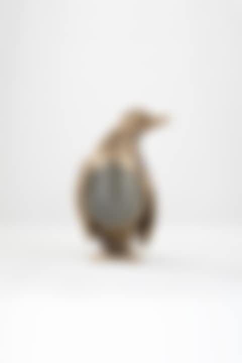 Pingouin (preview)