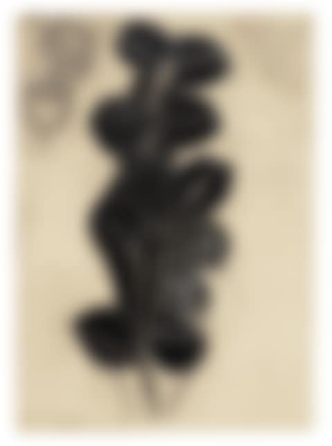 Untitled (preview)